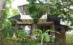 Finca Tibiki